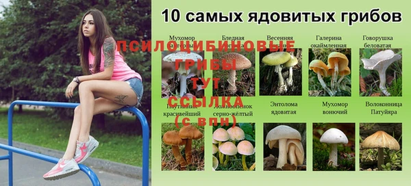 гидропоника Бородино