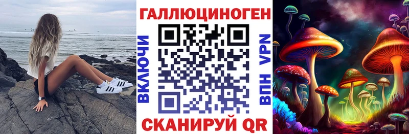 Купить где  Чегем  Галлюциногенные грибы Psilocybine cubensis 