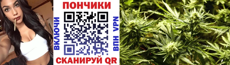 Шишки марихуана конопля  Купить где  Чегем 